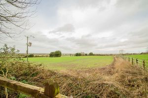 Photo 15- click for photo gallery